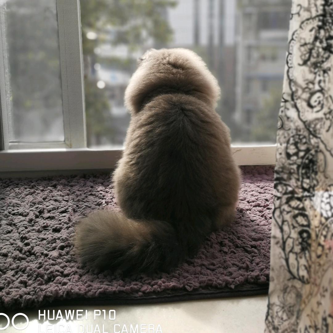  密底