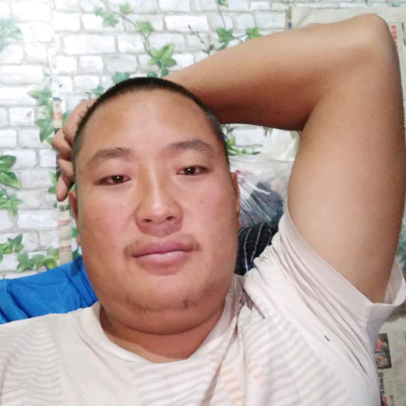 谯三爷长期供应,烤全羊活羊,羊肉