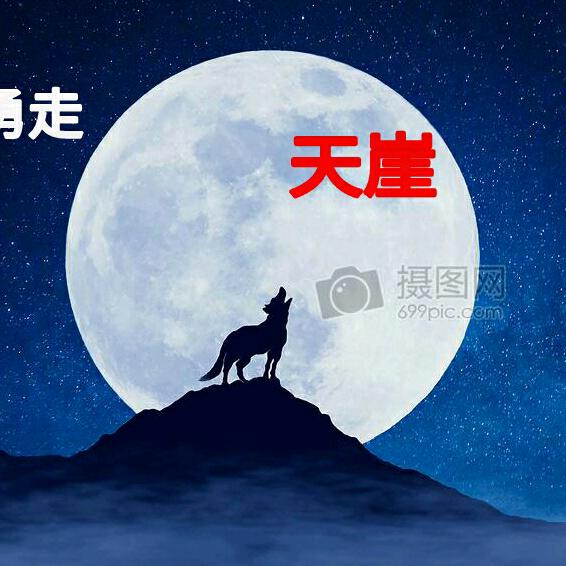 🇨🇳天崖4247391831399