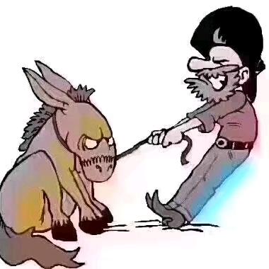 匡记水产店官方号