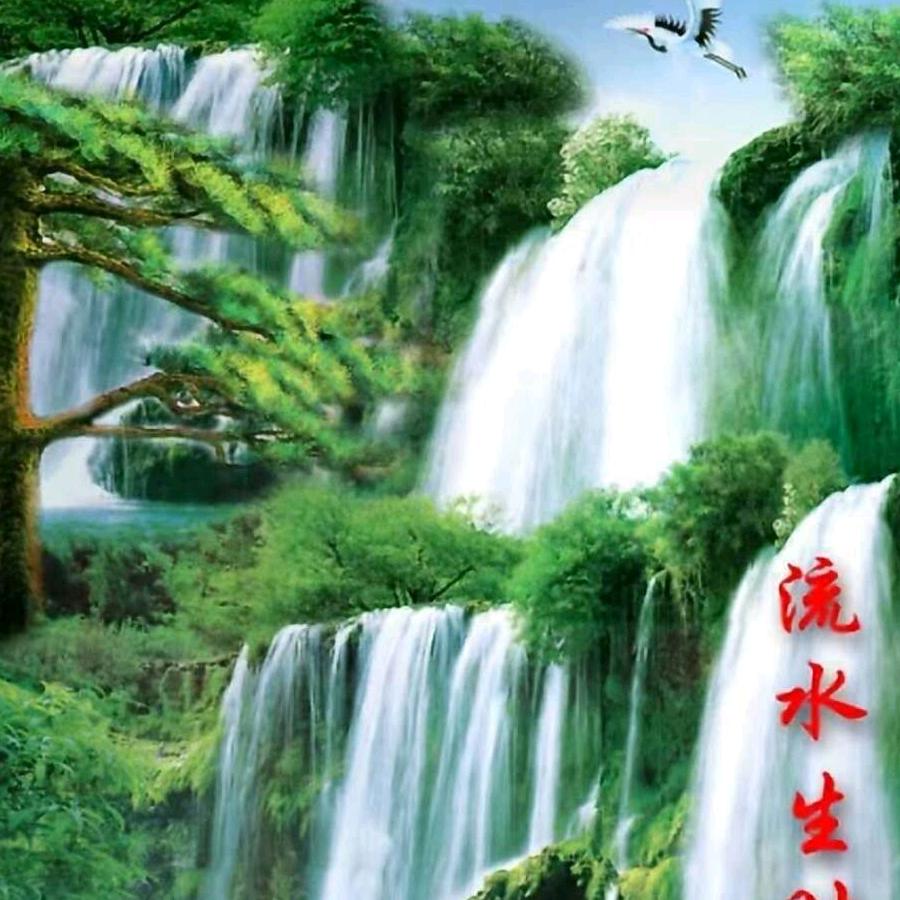 龙行天下装修队