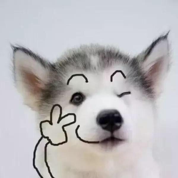 🐒    假装微笑