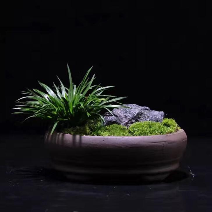 茶李生香河西店