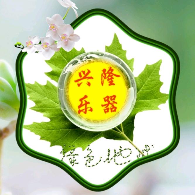 兴隆乐器行
