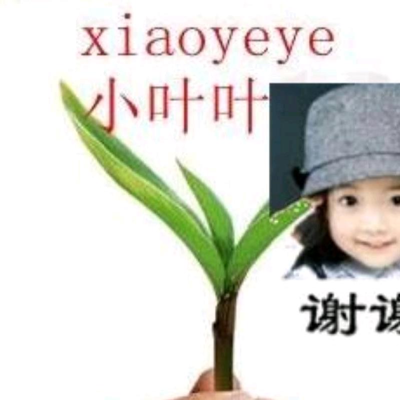 厦门小叶叶家政企业