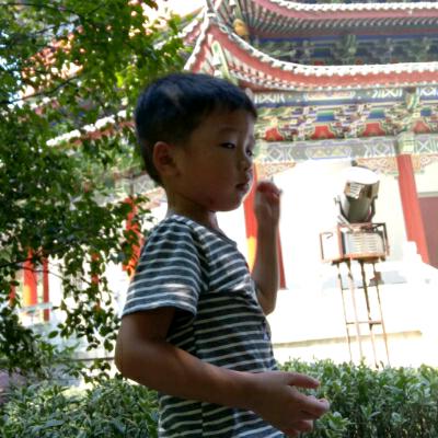小冬