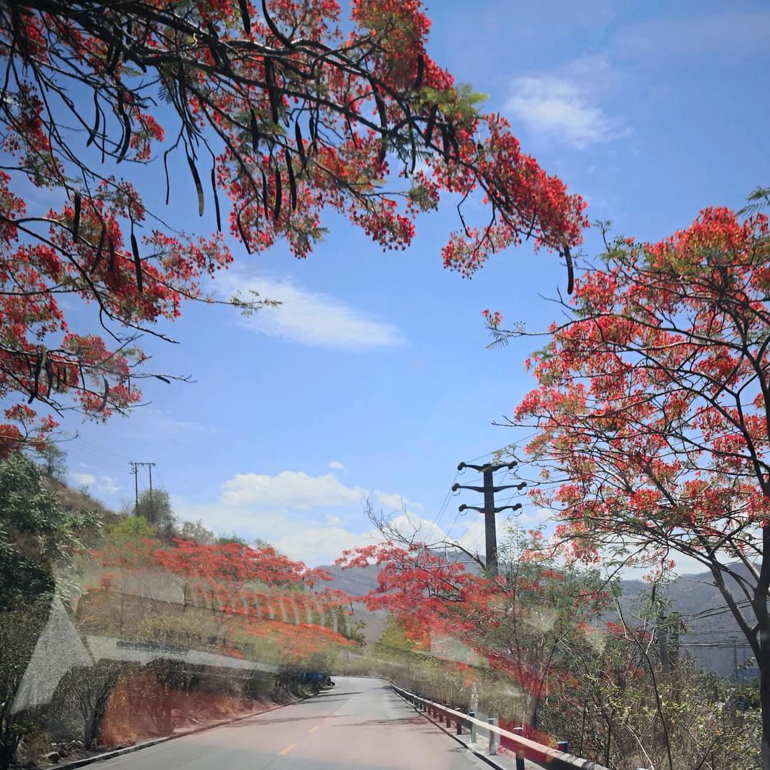 抚手留余香