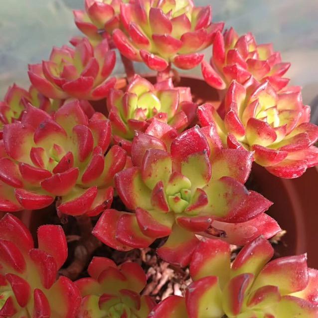 云南町众农业科技有限公司