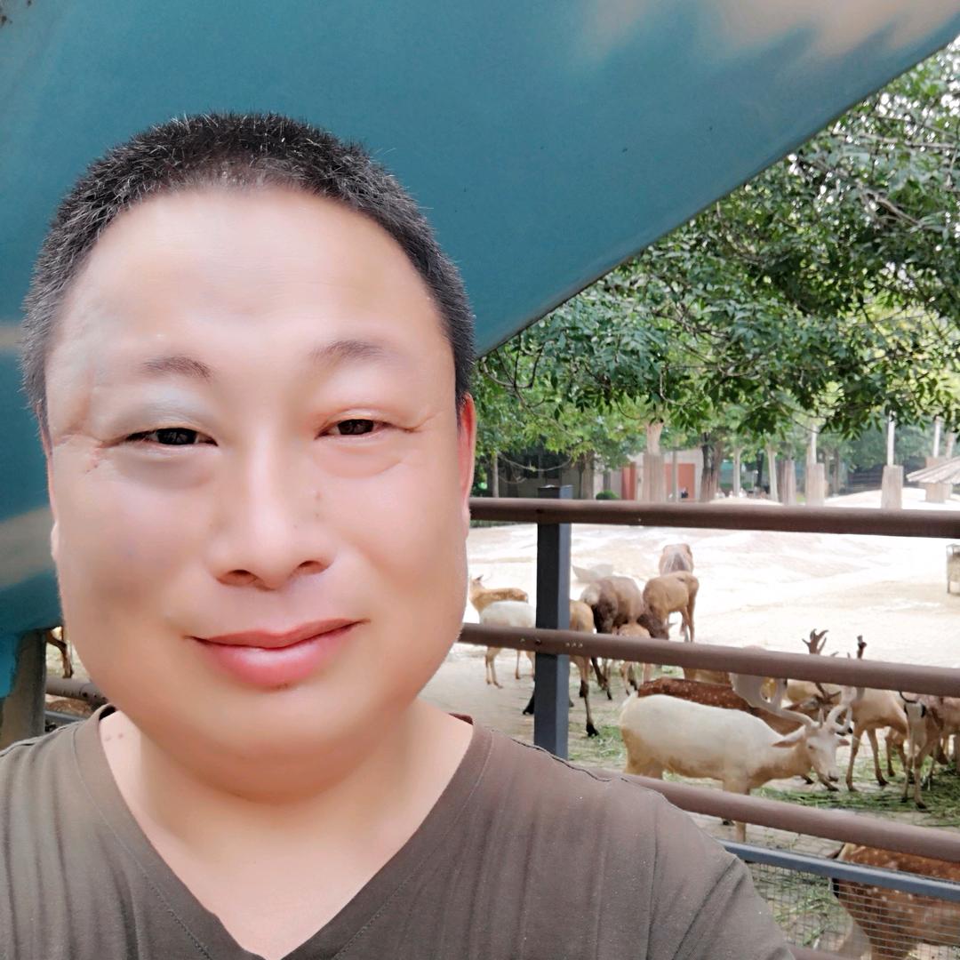 阳光涛哥河南省漯河市阳光禽业