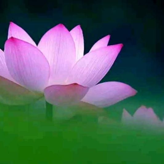 禹州卖房文殊人