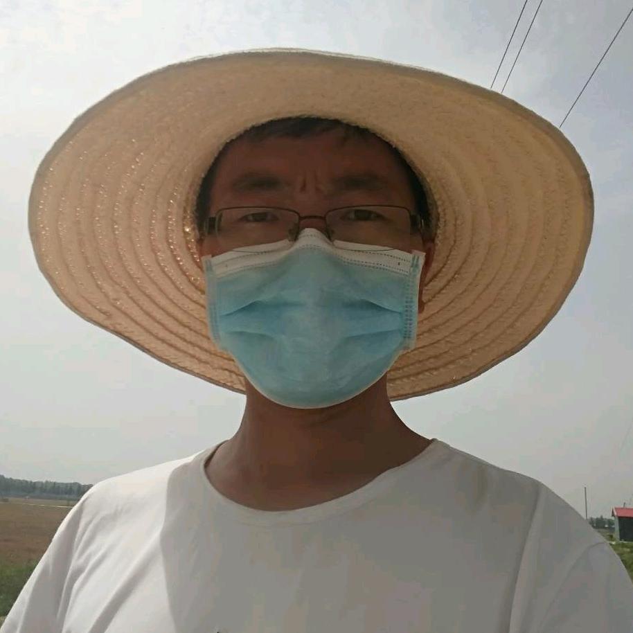 吕博士种莲藕
