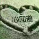 🌹梦🌺幻🌷