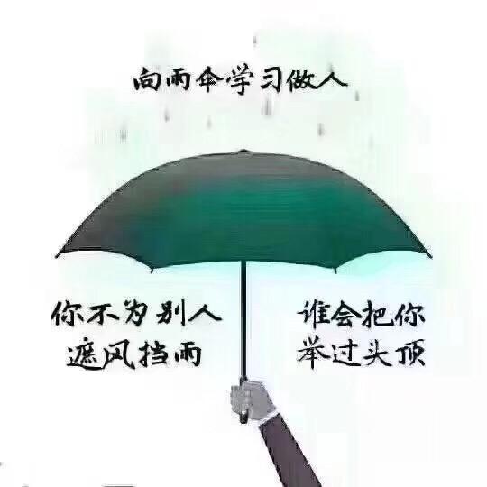 金水萌宝