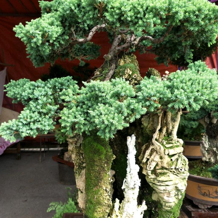 李文琴