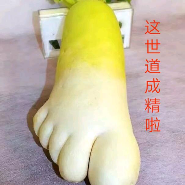 五魏杂臣wlc19740304
