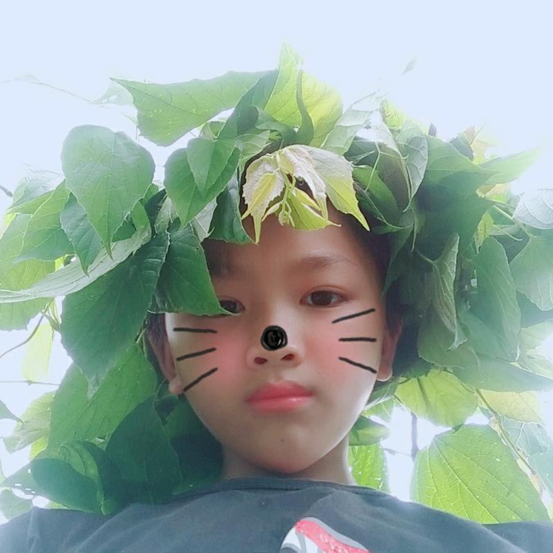芳