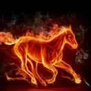 广亚物流宁波至湖南专线