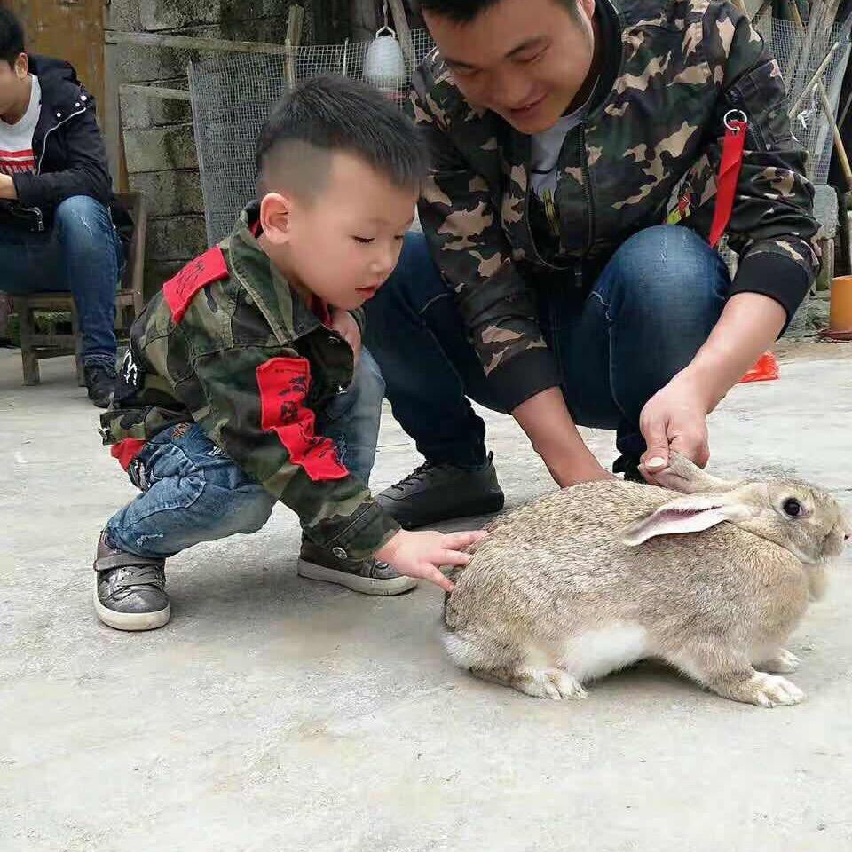 潇洒哥