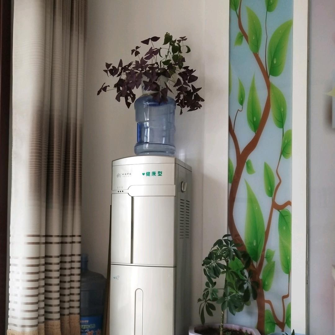 追求好生活