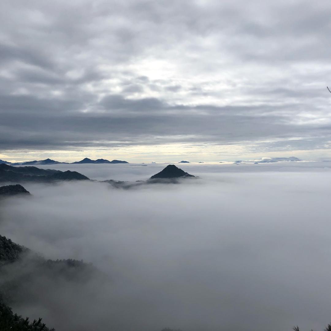 肖阿利｜半天腰