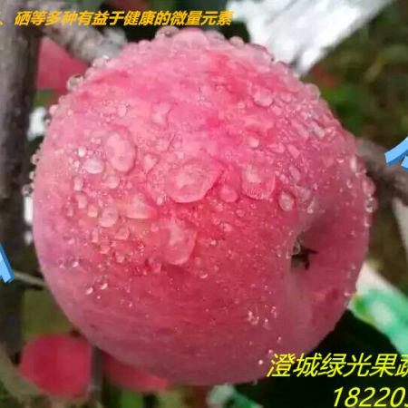 韦家社铁锅麦子泡·辣子豆腐·旋面店官方号