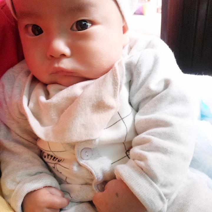 小海马。