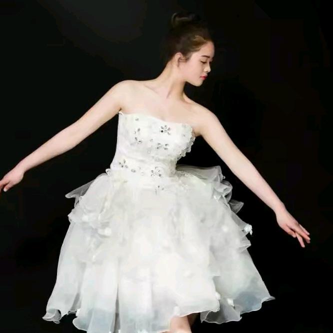 织梦舞蹈艺术培训