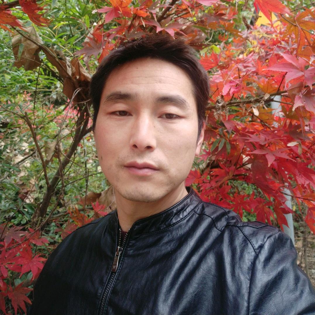落叶归根187