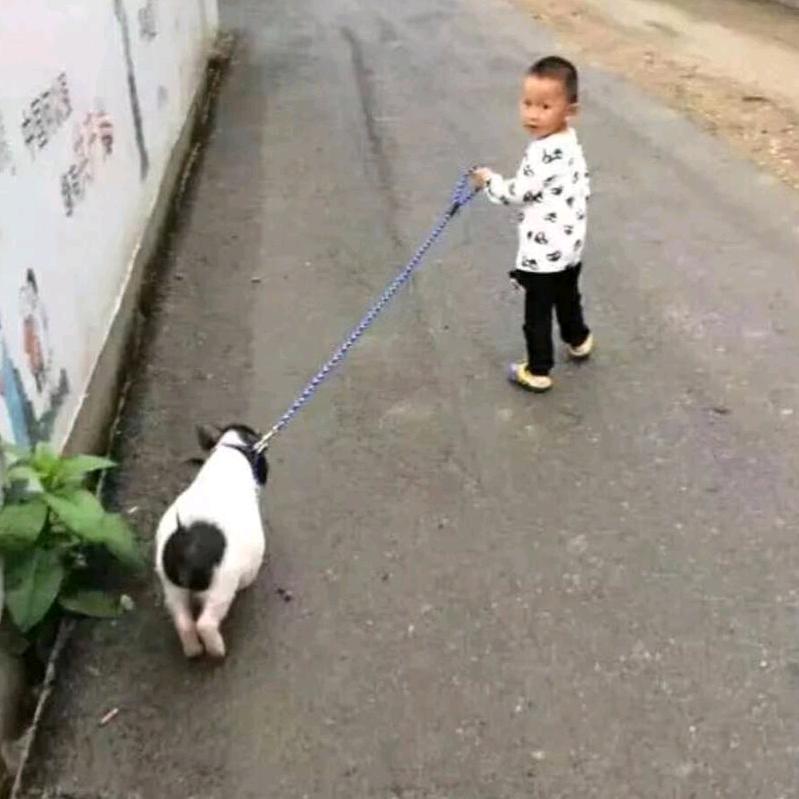 最辛苦的是农民