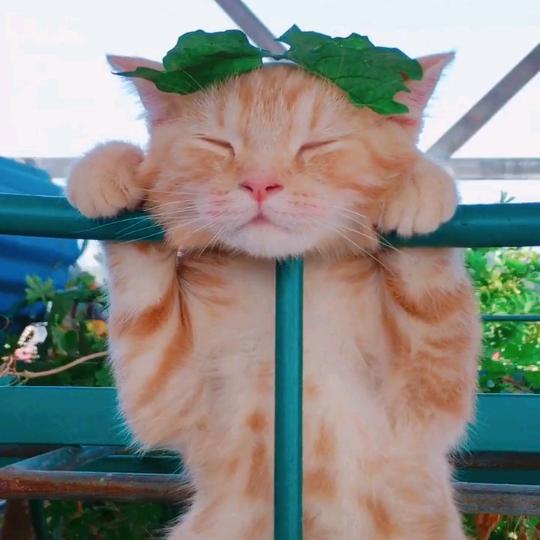 ☘遇见☘