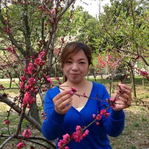 中国梦窗帘墙布软装馆