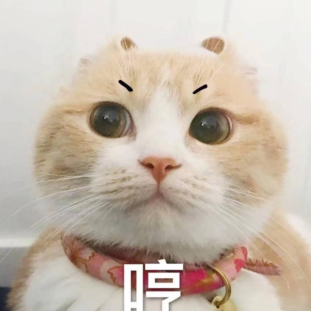 种地也种花