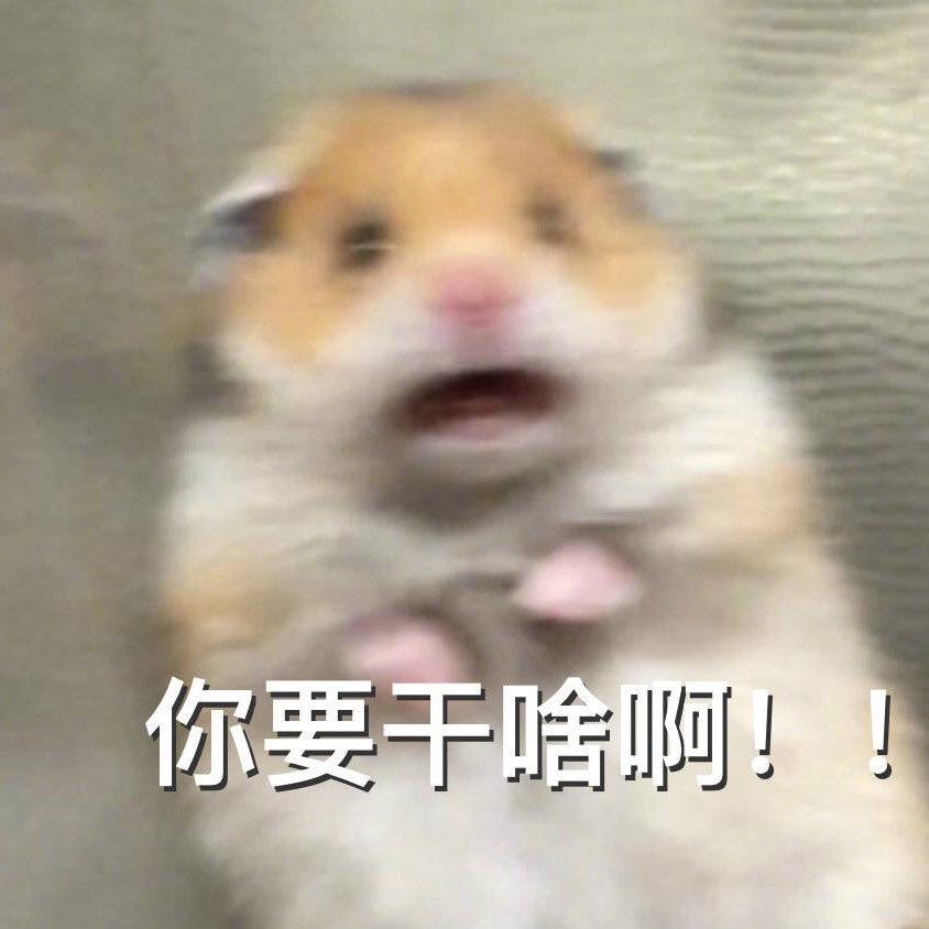 大王宇航是编剧