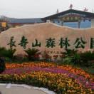 美好