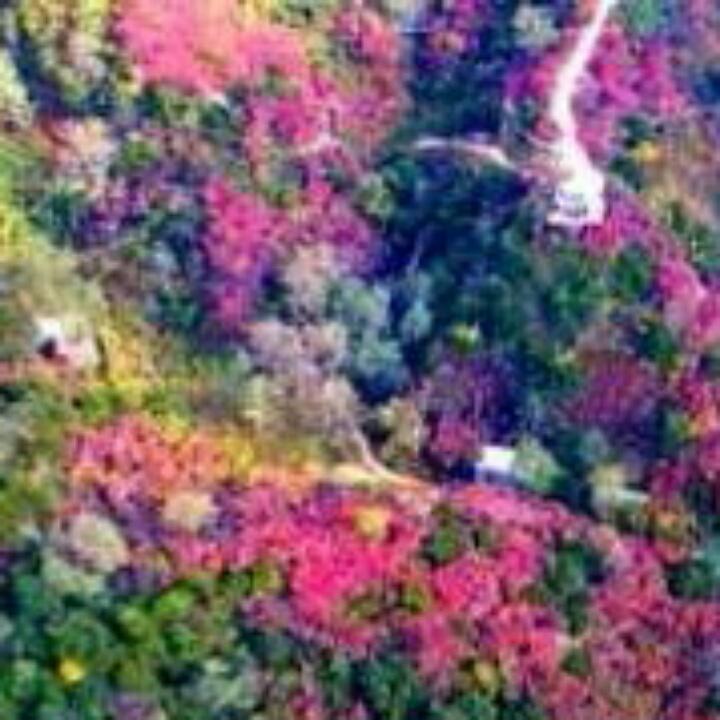 南山密码