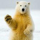 每天有每天的快乐