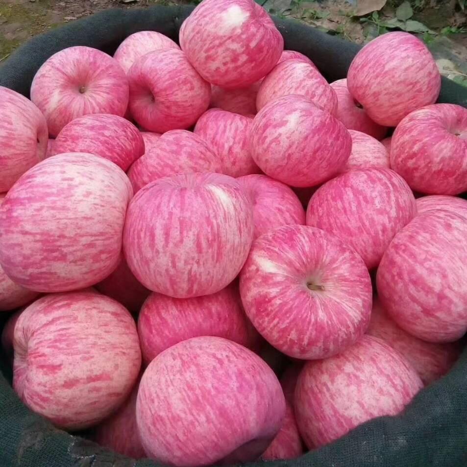 冰糖心