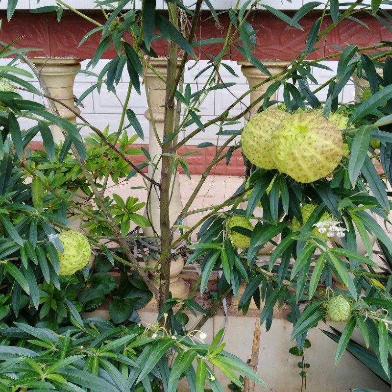 开心过好每一天温姐