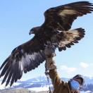 老彭 🔥 ⁶¹⁷