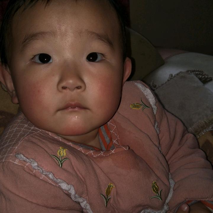 飞越长城