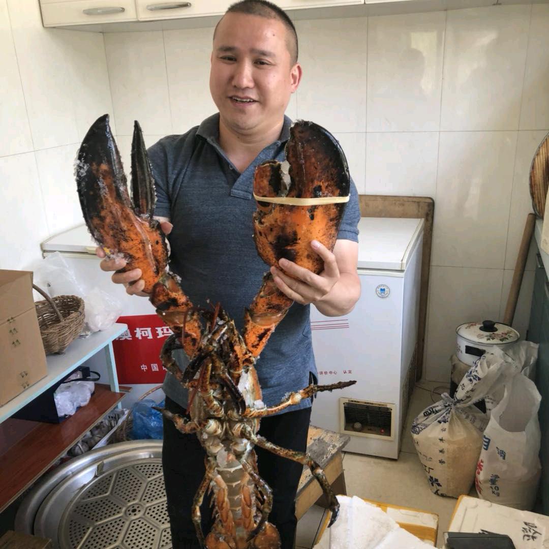 星辉车饰福利号