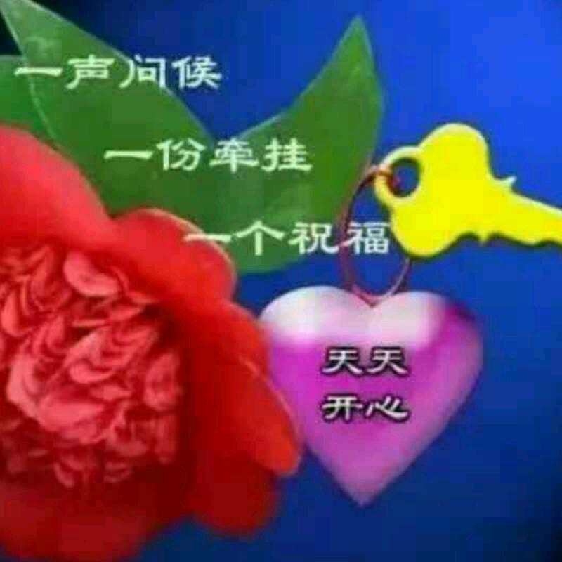 蒲公英