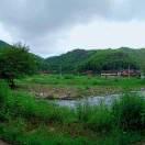 🌛🌷✨半生💫🌷已过🥀\^O^/