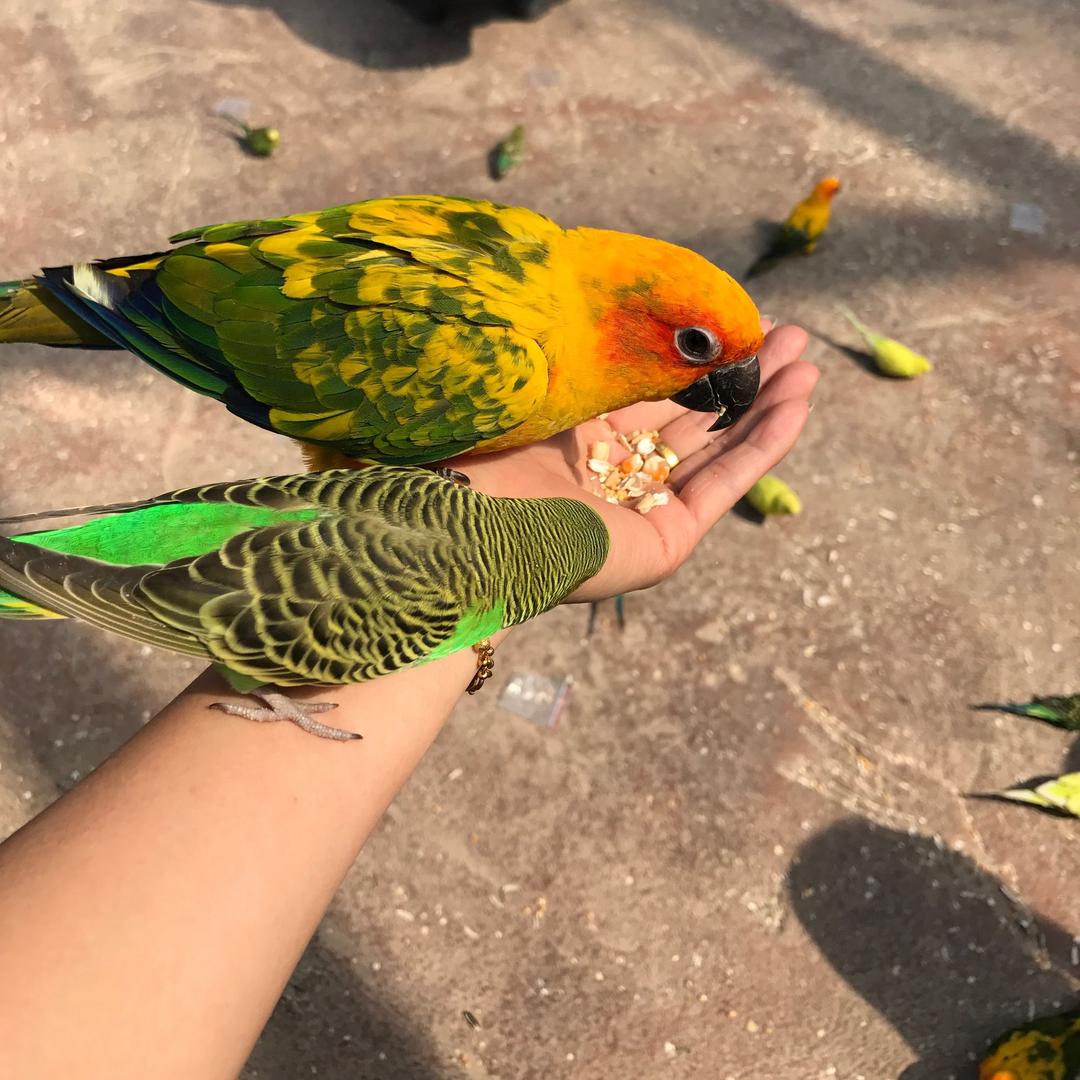 🍂এ᭄ꦿ陈࿐