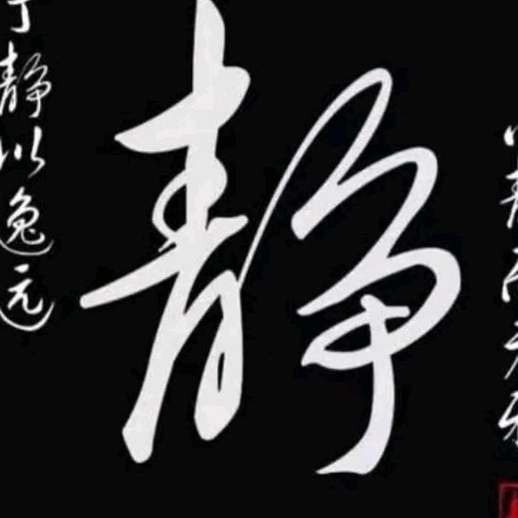 人生风景在游走