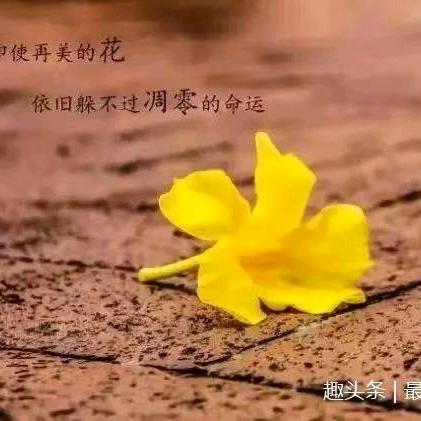 清秋