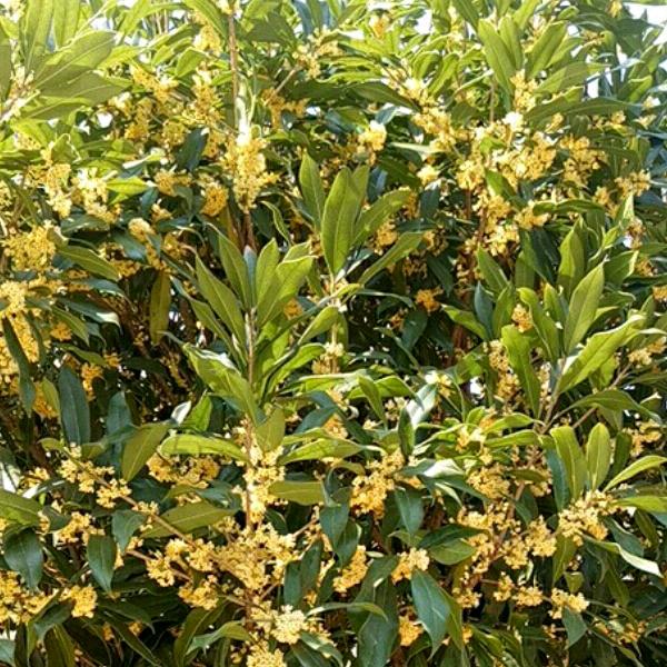 抖音一席话胜读十年书