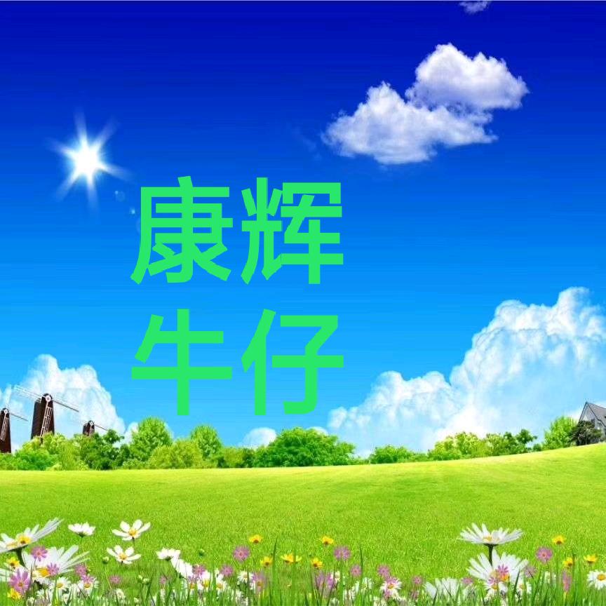 康辉牛仔