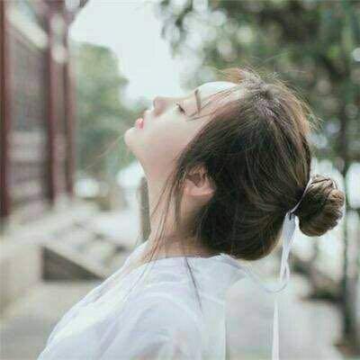 刺猬🌹