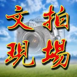 文拍现场